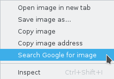 Chrome 中的“用 Google 搜索该图片”选项