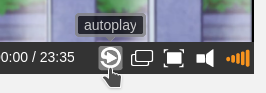 鼠标悬停在 autoplay 按钮上会有提示